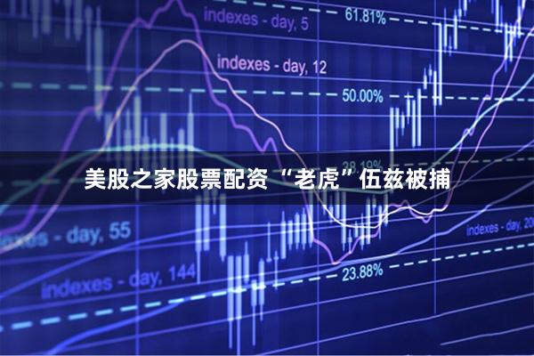 美股之家股票配资 “老虎”伍兹被捕